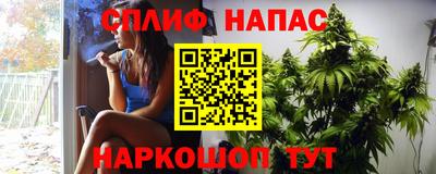 jwh Будённовск