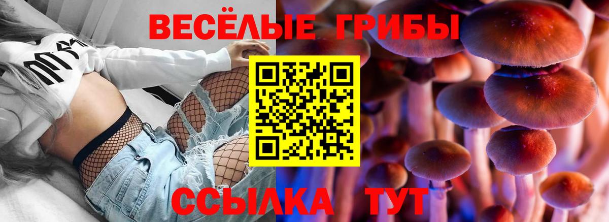 Галлюциногенные грибы прущие грибы  Вход с VPN  Тимашёвск  Галлюциногенные грибы Cubensis 
