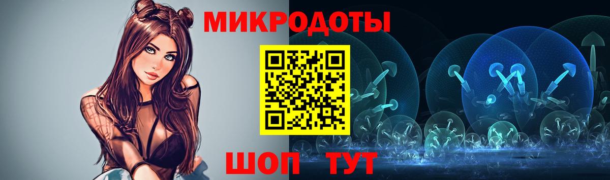 Галлюциногенные грибы Psilocybine cubensis Тимашёвск